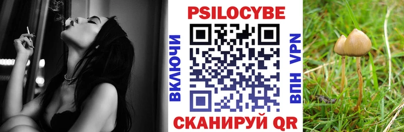 дарк нет официальный сайт  Назрань  Галлюциногенные грибы GOLDEN TEACHER 